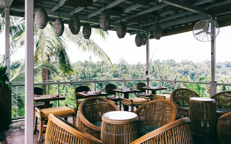 Rooftop seating at a local restaurant overlooking the surrounded trees from above