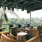 Rooftop seating at a local restaurant overlooking the surrounded trees from above