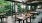 Outdoor dining area at a local restaurant surrounded by vibrant green trees